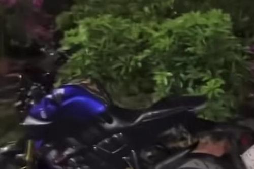 Thực hư thông tin bé gái 13 tuổi bị đánh thuốc mê, bắt cóc tại Hải Phòng