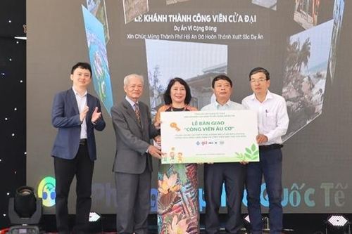 Thêm 'lá chắn xanh' bảo vệ môi trường, chống xói lở biển Hội An