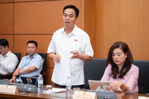 Đoàn đại biểu Quốc hội tỉnh góp ý Dự án Luật Tham gia lực lượng gìn giữ hòa bình của Liên hợp quốc