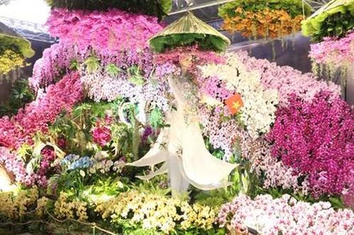 TPHCM: Rực rỡ sắc màu tại Festival Hoa lan lần III năm 2025