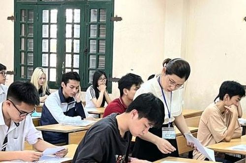 Việc tuyển sinh các cấp học dự kiến không theo địa giới hành chính
