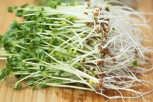 Bí quyết phòng ung thư từ gian bếp nhà bạn