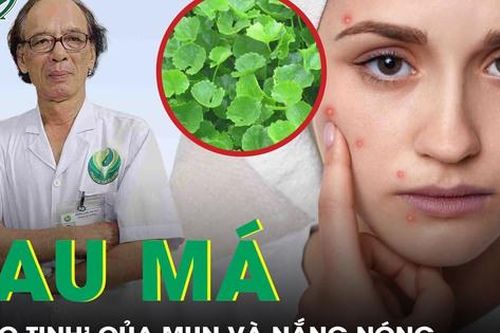 Rau má - 'Khắc tinh' của mụn và nắng nóng theo y học cổ truyền