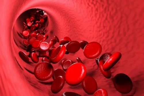 Khám phá khoa học mở ra cuộc cách mạng điều trị bệnh tim và huyết áp