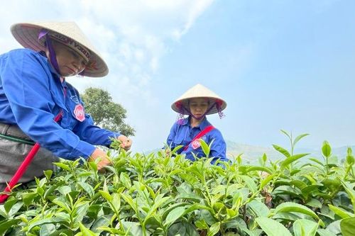 Khắc ghi lời căn dặn của Bác