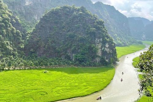 Độc đáo bức tranh 'Cá chép vượt vũ môn' trên cánh đồng lúa Tam Cốc, Ninh Bình