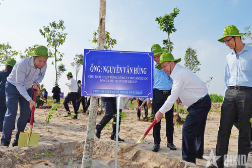 Bình Dương phát động 'Tết trồng cây đời đời nhớ ơn Bác Hồ'