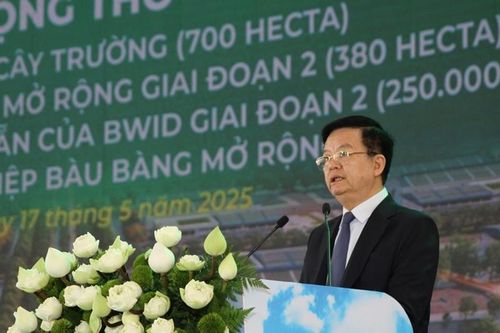Kinh tế xanh là một trụ cột chiến lược đưa đất nước tiến lên mạnh mẽ trong thời kỳ mới