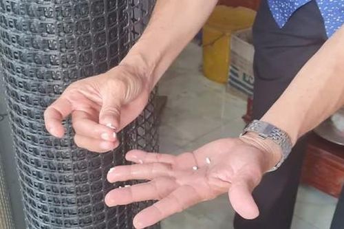Phát hiện 'gạo lạ' ở Hậu Giang