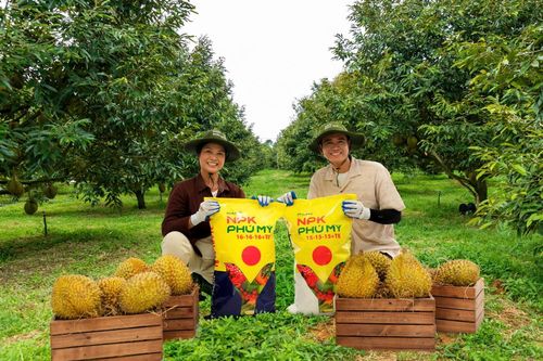 Phân bón NPK Phú Mỹ: Công nghệ sạch - Phân bón sạch