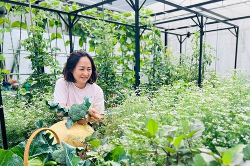 Người phụ nữ ở Sơn La biến khu đất 200m2 ngập rác thành vườn sum sê rau trái