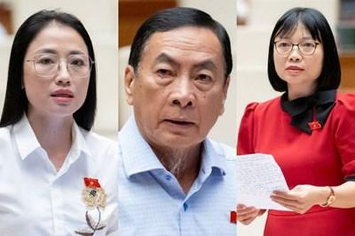 Đại biểu Quốc hội: Cần truy cứu trách nhiệm hình sự nếu phát hiện hàng giả gây hậu quả nghiêm trọng