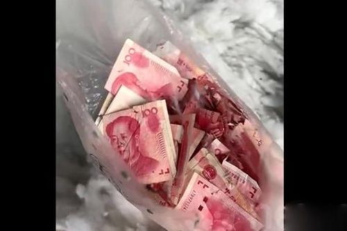 Công nhân sốc nặng khi tìm thấy tiền mặt trong đống bông tái chế
