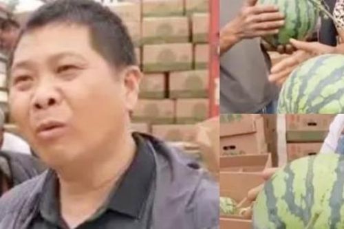 Nghề lạ 'chụp X-quang' cho trái cây, kiếm hàng chục triệu/tháng