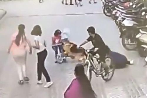 CLIP: Đang đạp xe ở sân chung cư, bé gái 6 tuổi bị chó becgie tấn công và màn giải cứu gay cấn