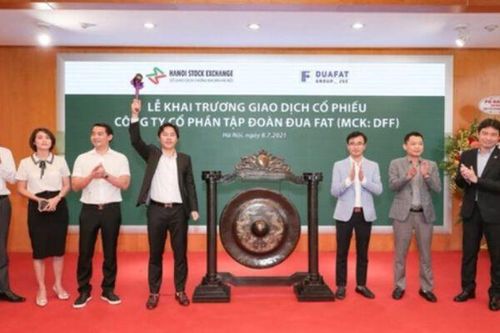 Vì sao Công ty cổ phần Tập đoàn Đua Fat bị phạt đến 470 triệu đồng?
