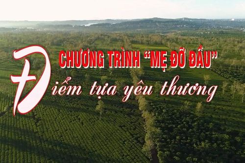 Chương trình 'Mẹ đỡ đầu' - Điểm tựa yêu thương