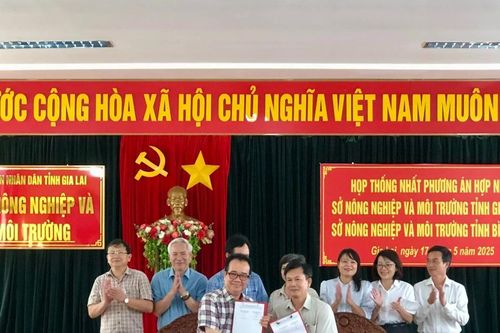 Bàn phương án hợp nhất ngành Nông nghiệp và Môi trường 2 tỉnh Gia Lai và Bình Định