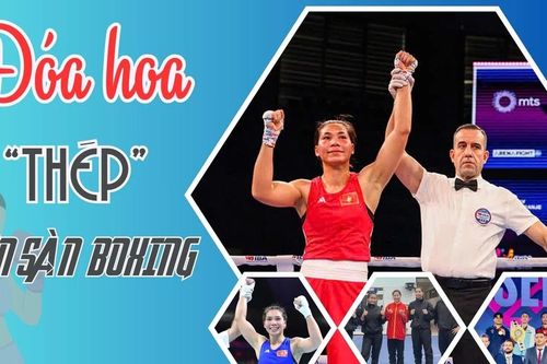 Đóa hoa 'thép' trên sàn boxing