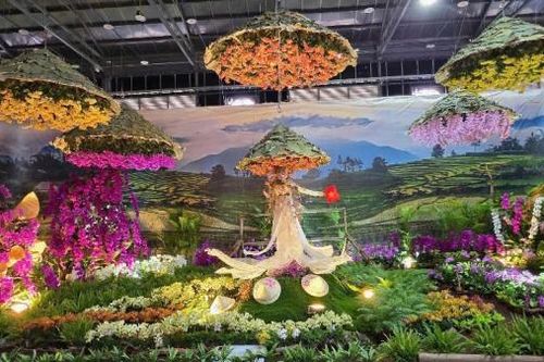Lan hồ điệp Đà Lạt khoe sắc tại Festival hoa Lan TP Hồ Chí Minh 2025