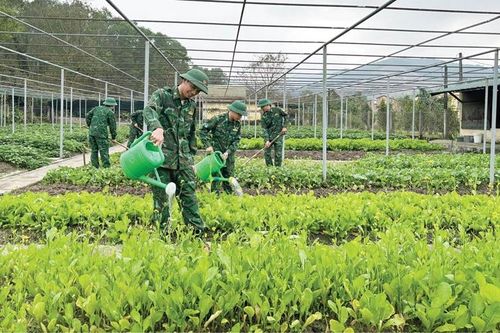 Tăng gia sản xuất giỏi cũng là học Bác