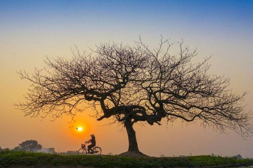 Mùi của ký ức