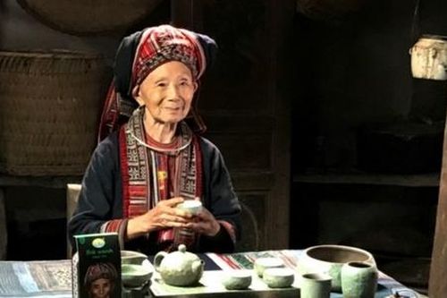 Công nghệ cao kiến tạo sản phẩm quốc gia trong HTX