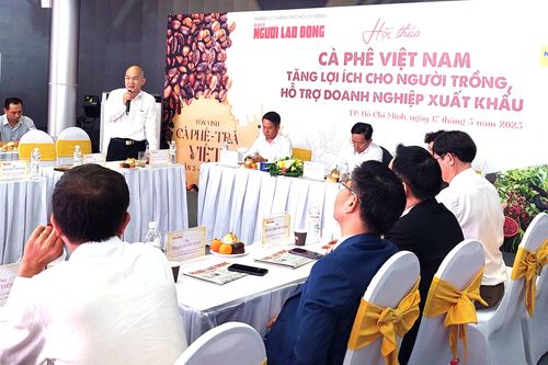 'Giải cứu' hạt cà phê: Liên kết sản xuất, chế biến sâu và 'vũ khí' Robusta đặc sản