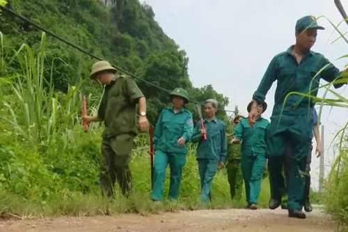 Đảm bảo an toàn phòng cháy rừng phòng hộ đặc dụng