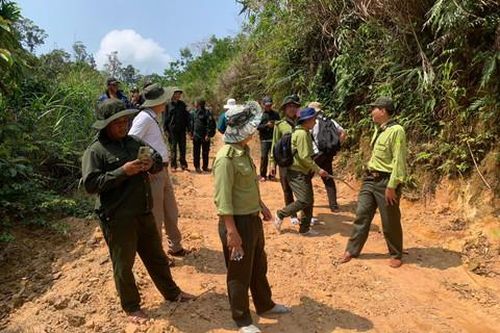 Quảng Nam: Mạnh tay với tình trạng xâm lấn rừng phòng hộ để trồng keo trái phép
