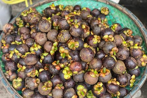 Loại quả được ví là 'nữ hoàng' trái cây đầu mùa giá cao, tiểu thương không dám nhập hàng vì sợ lỗ vốn