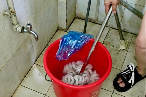 TikToker Việt quay cận cảnh 'phù phép' lòng xe điếu bằng hóa chất ở TQ