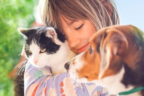 Những loại giun sán có thể lây nhiễm từ vật nuôi