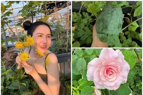 Khu vườn sân thượng ngập hoa trái của 'bà trùm nông sản'