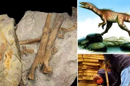 Tiết lộ điều chưa từng biết về 'khủng long xứ Wales'