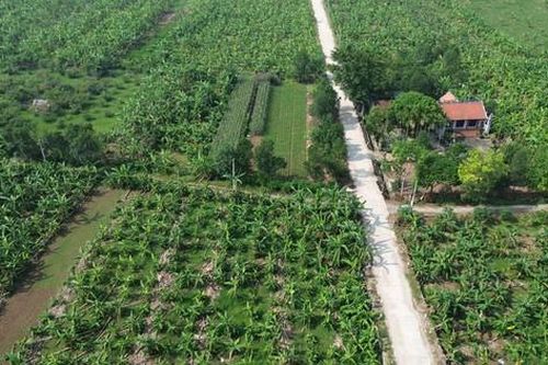Hà Nội: Rút gọn quy trình về đất đai và không thu phí để xóa nhà tạm, nhà dột nát
