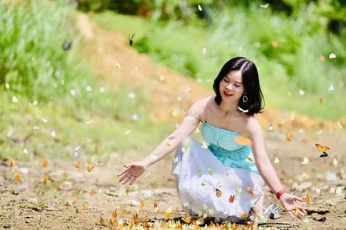 Bướm bay rợp trời ở Cúc Phương