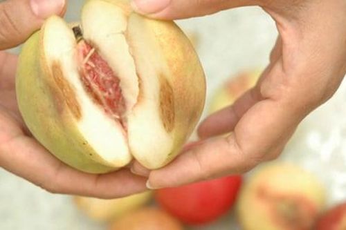 Thực phẩm mốc nên vứt bỏ hay cắt phần hỏng để dùng tiếp?