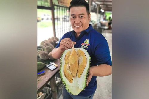 'Tân binh' sầu riêng lăm le soán ngôi Musang King và Black Thorn