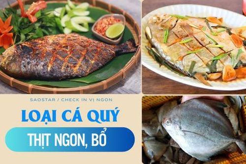Loại cá đứng đầu 4 loại cá quý ở Việt Nam, hè này đi biển phải thử liền