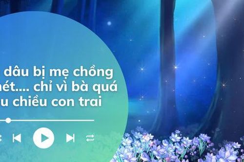 Audio: Nửa đêm hốt hoảng phát hiện mẹ chồng vào lục ví chồng mình