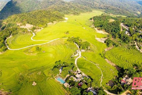 Pù Luông: Mùa vàng đang gọi