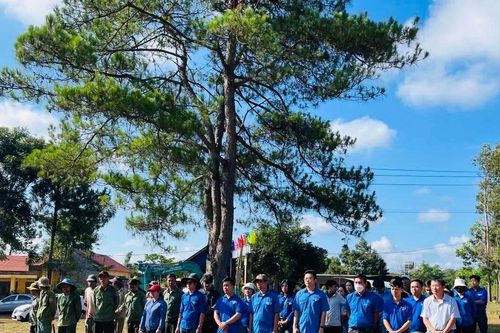 Trồng hơn 600 cây bằng lăng tại làng Ngol Tă
