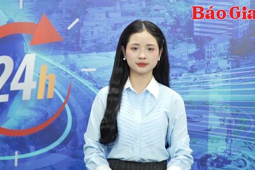 Gia Lai 24h: Ngộ độc nguy kịch vì ăn nấm mọc trên xác ve sầu
