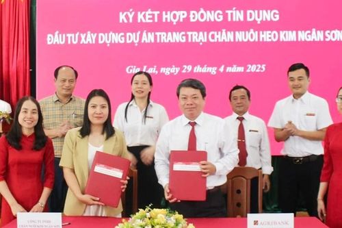 Ngân hàng đầu tư tín dụng vào lĩnh vực chăn nuôi khép kín