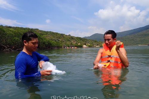 Hưởng ứng Tuần lễ Biển và Hải đảo Việt Nam, Ngày đại dương thế giới năm 2025