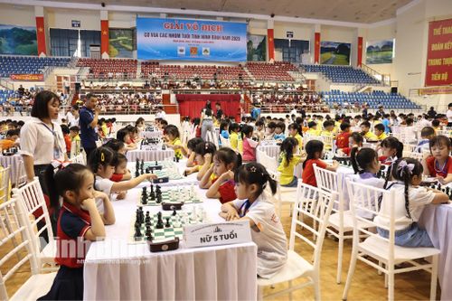 Khai mạc Giải vô địch Cờ vua các nhóm tuổi tỉnh Ninh Bình năm 2025