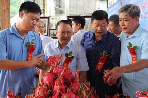 Thuận Châu ứng dụng công nghệ cao trong sản xuất nông nghiệp