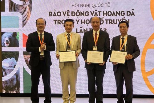 Bảo vệ động vật hoang dã trong y học cổ truyền