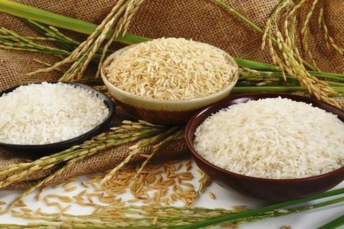 Senegal muốn nhập khẩu gạo, gia vị, cà phê, trà... của Việt Nam